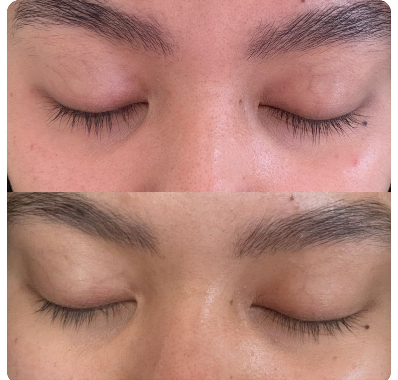 MREVIVE Brow & Lash Revival Oil